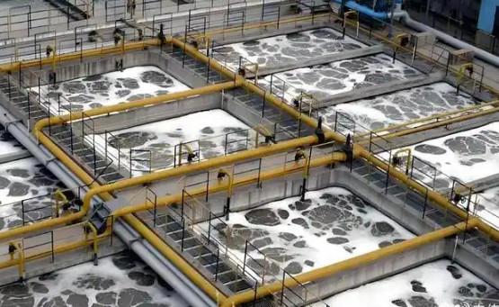 异议排除!8.87亿元徐闻县农村生活污水治理项目恢复招标